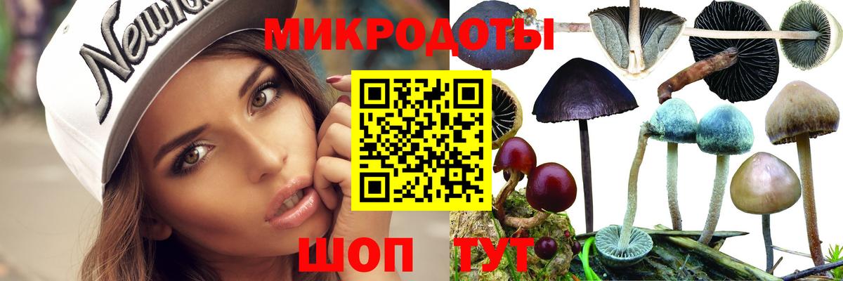 Псилоцибиновые грибы GOLDEN TEACHER  Вход с VPN  Янаул 